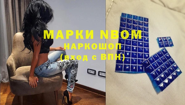 прущие грибы Горно-Алтайск