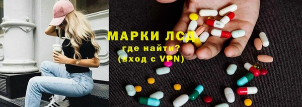 прущие грибы Горно-Алтайск