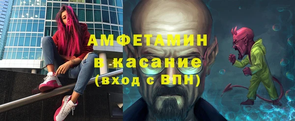 прущие грибы Горно-Алтайск